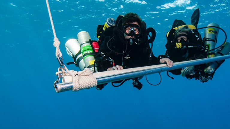 PADI Tec 40