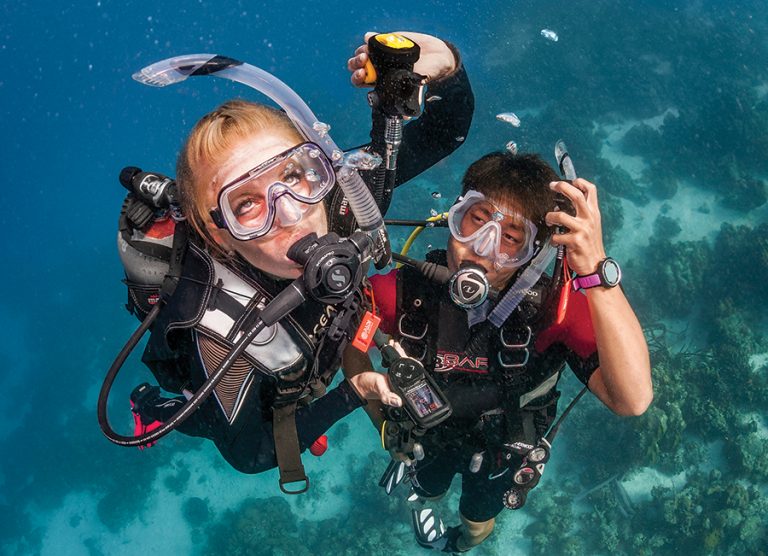Divemaster (Basic)