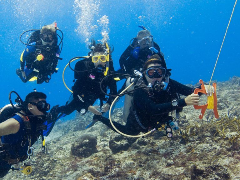 PADI Drift Diver