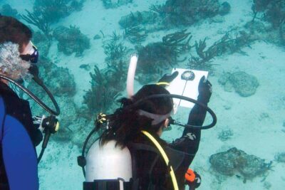 padi underwater navigator